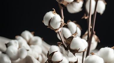 What are the advantages of organic cotton fabrics?